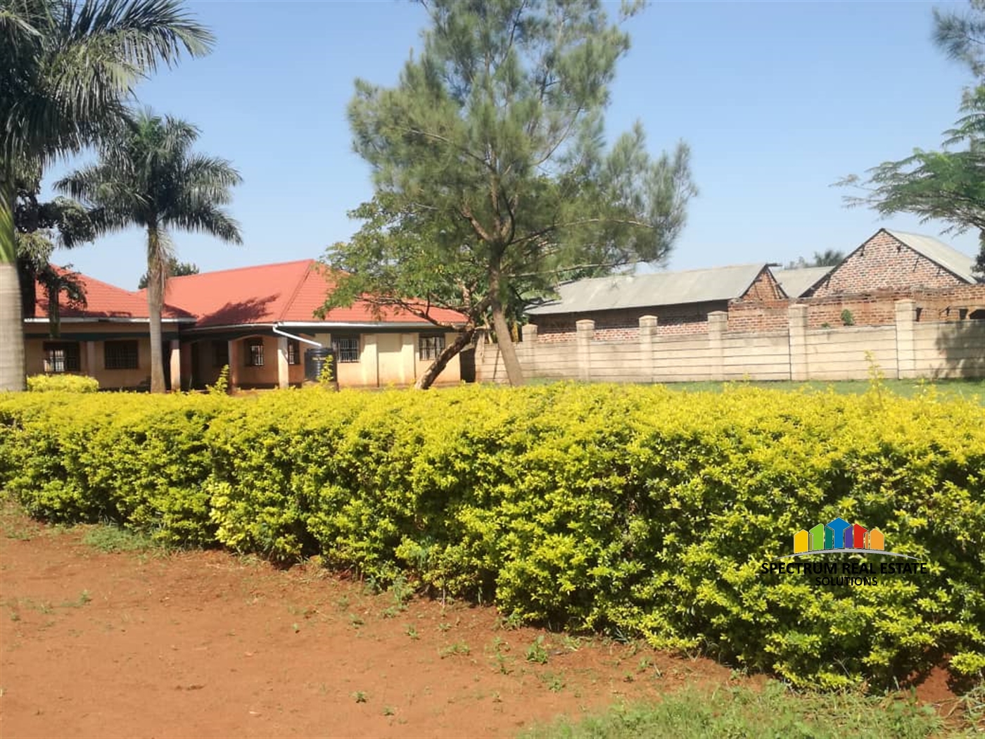 School for sale in Busia Busia