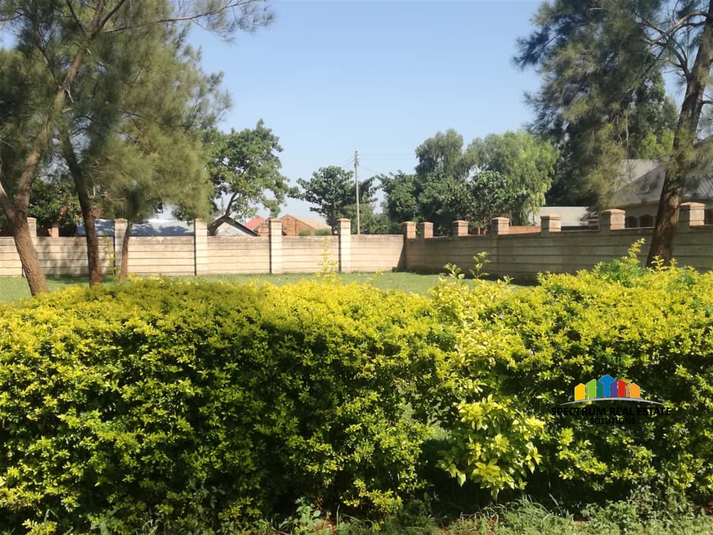 School for sale in Busia Busia