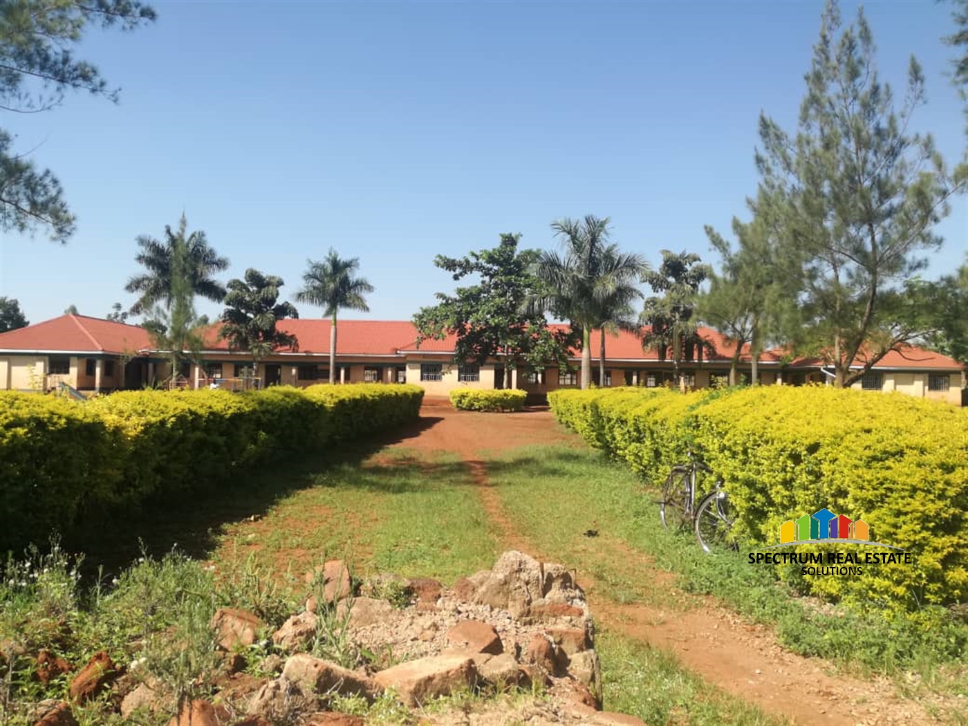 School for sale in Busia Busia