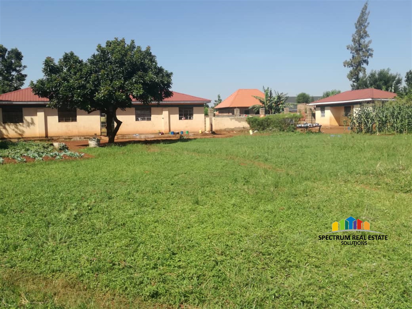 School for sale in Busia Busia