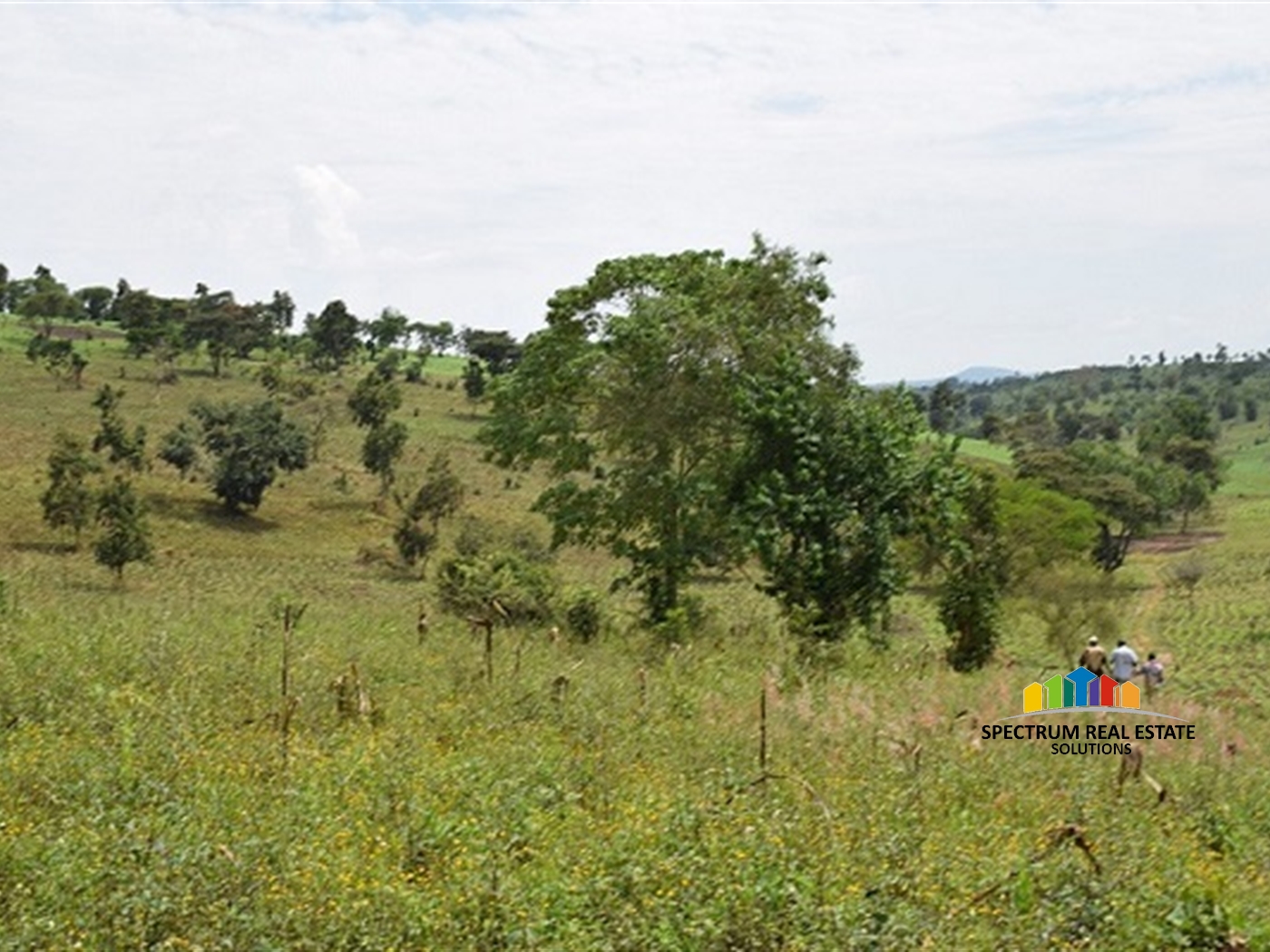 Agricultural Land for sale in Kitenga Mubende