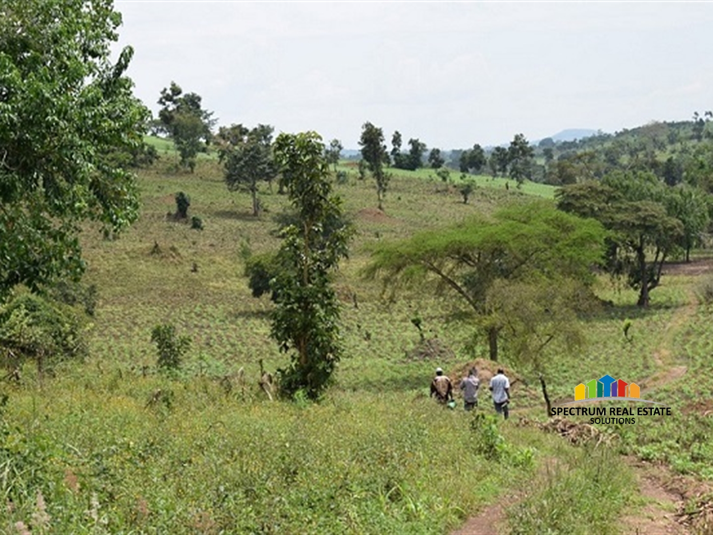 Agricultural Land for sale in Kitenga Mubende