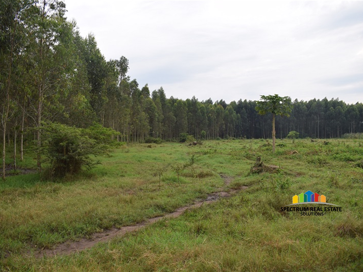 Agricultural Land for sale in Myanzi Mityana