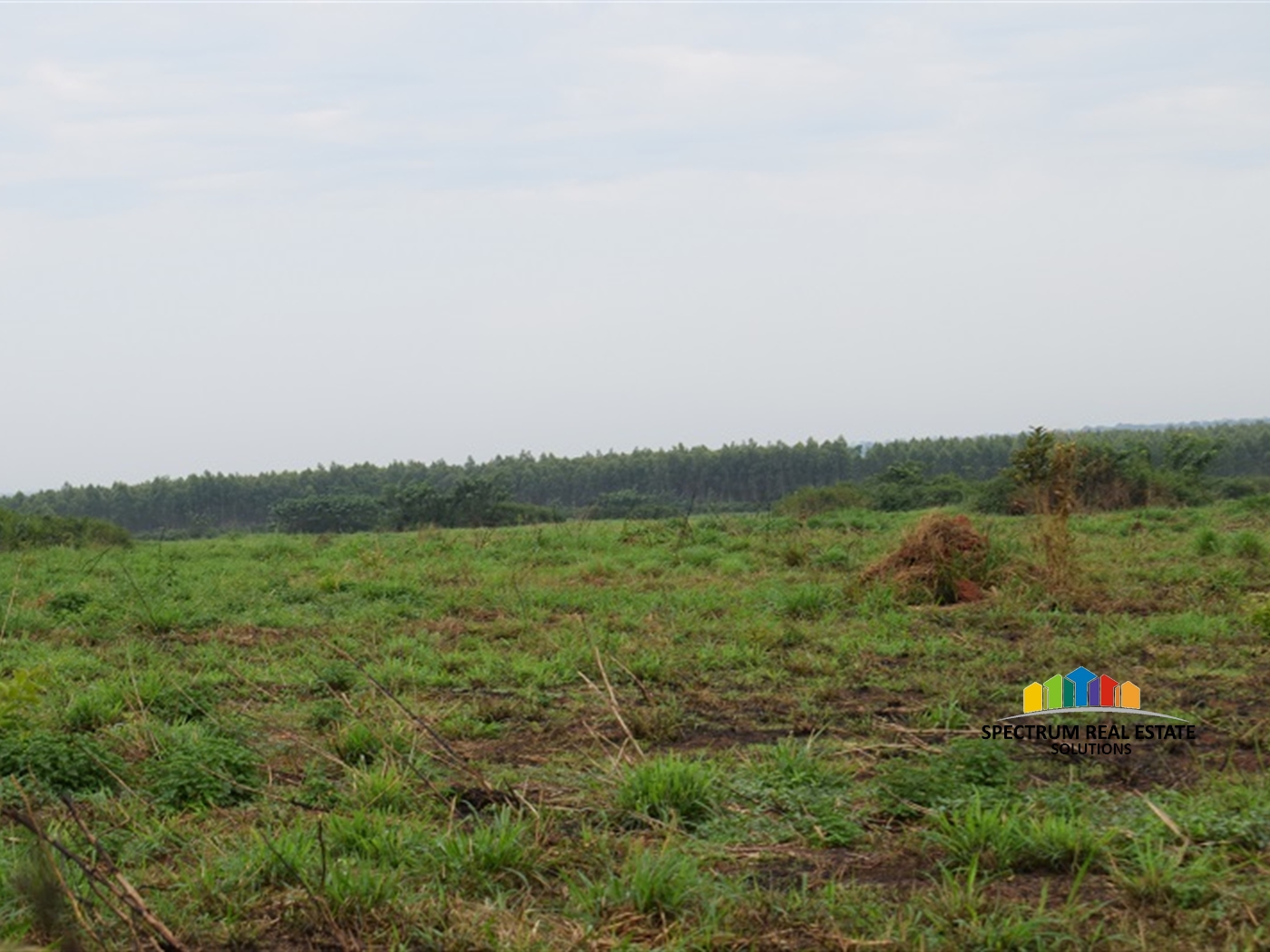 Agricultural Land for sale in Wakyato Nakaseke