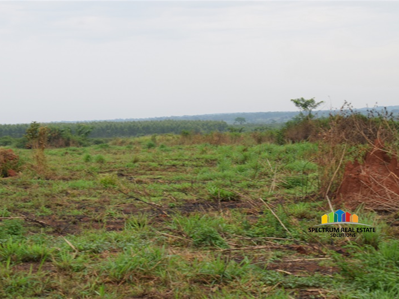 Agricultural Land for sale in Wakyato Nakaseke