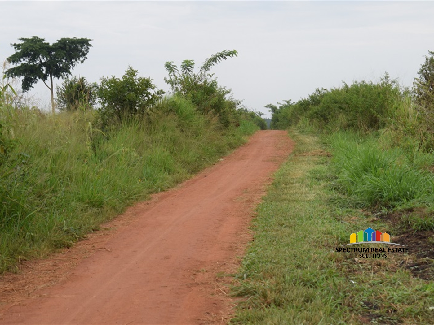 Agricultural Land for sale in Wakyato Nakaseke