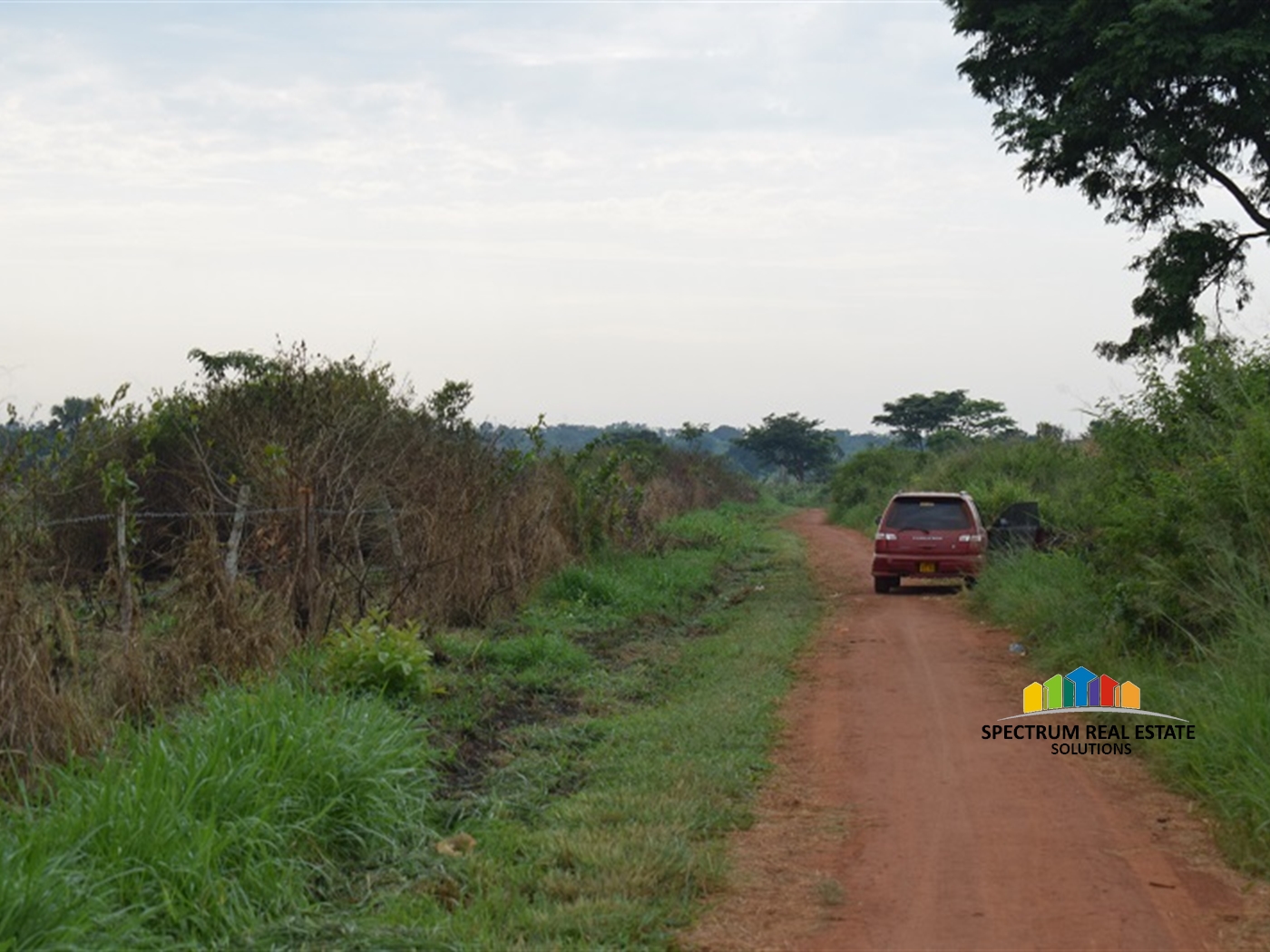 Agricultural Land for sale in Wakyato Nakaseke