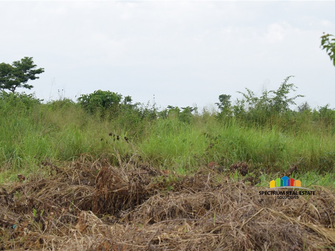 Agricultural Land for sale in Wakyato Nakaseke