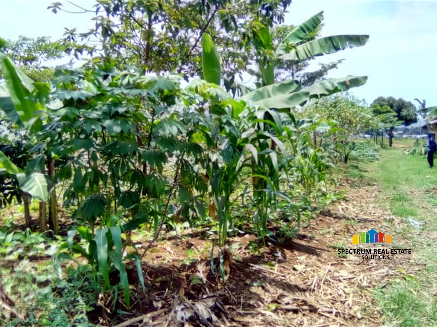 Residential Land for sale in Nkumba Wakiso