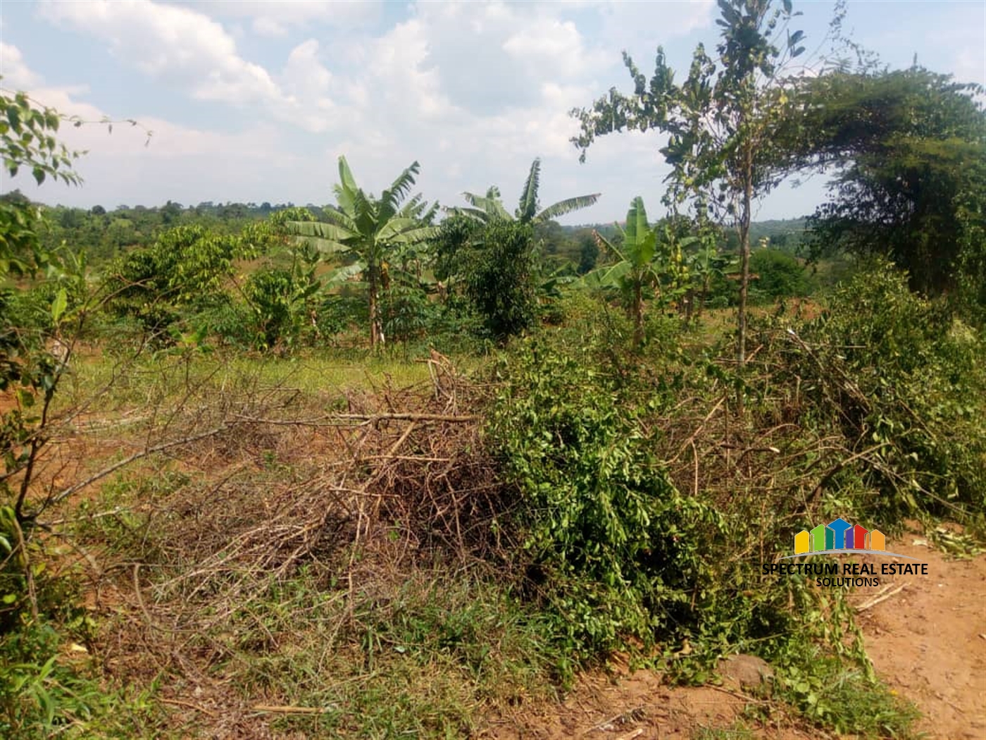 Agricultural Land for sale in Kassanda Mityana