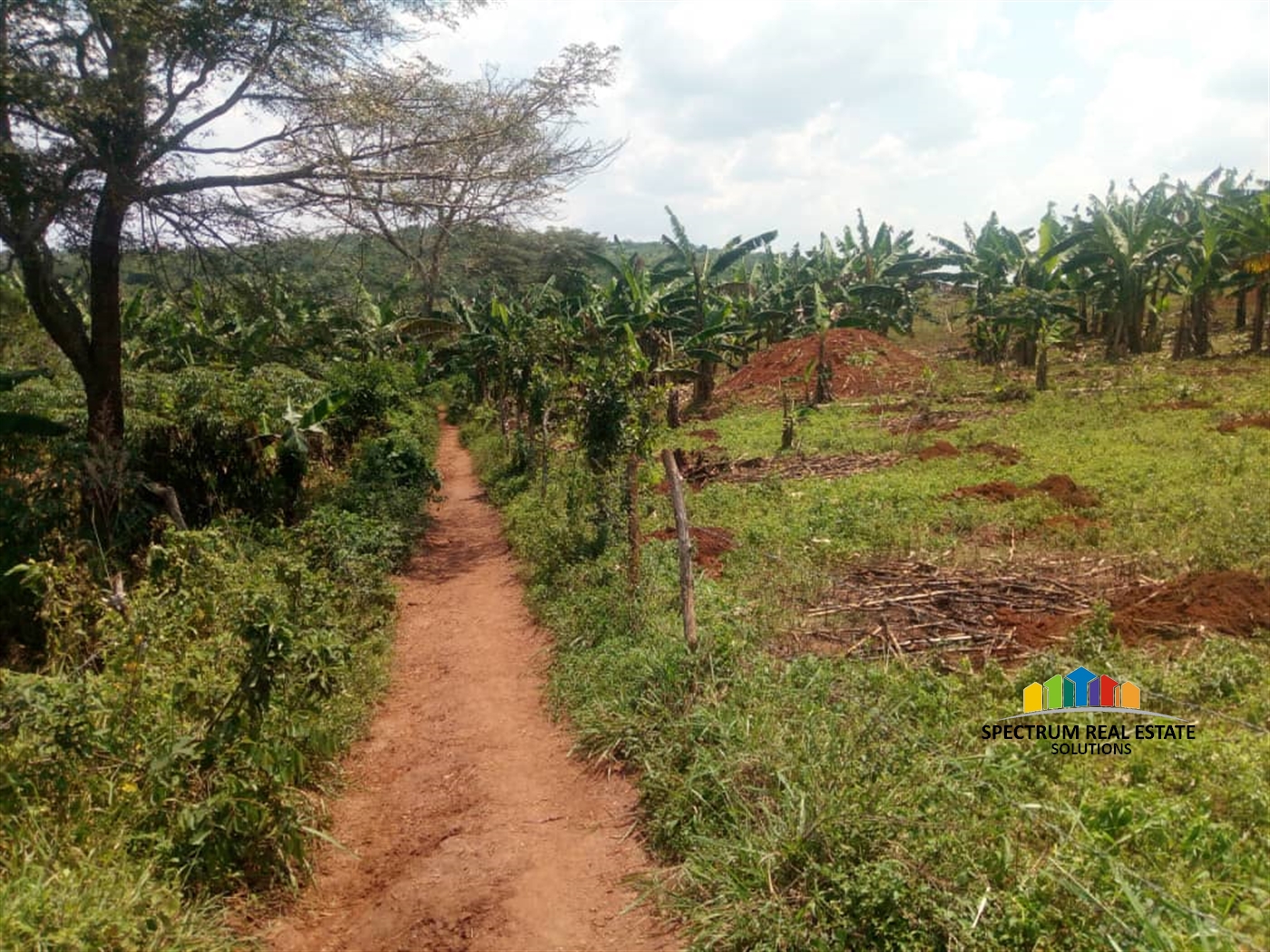 Agricultural Land for sale in Kassanda Mityana