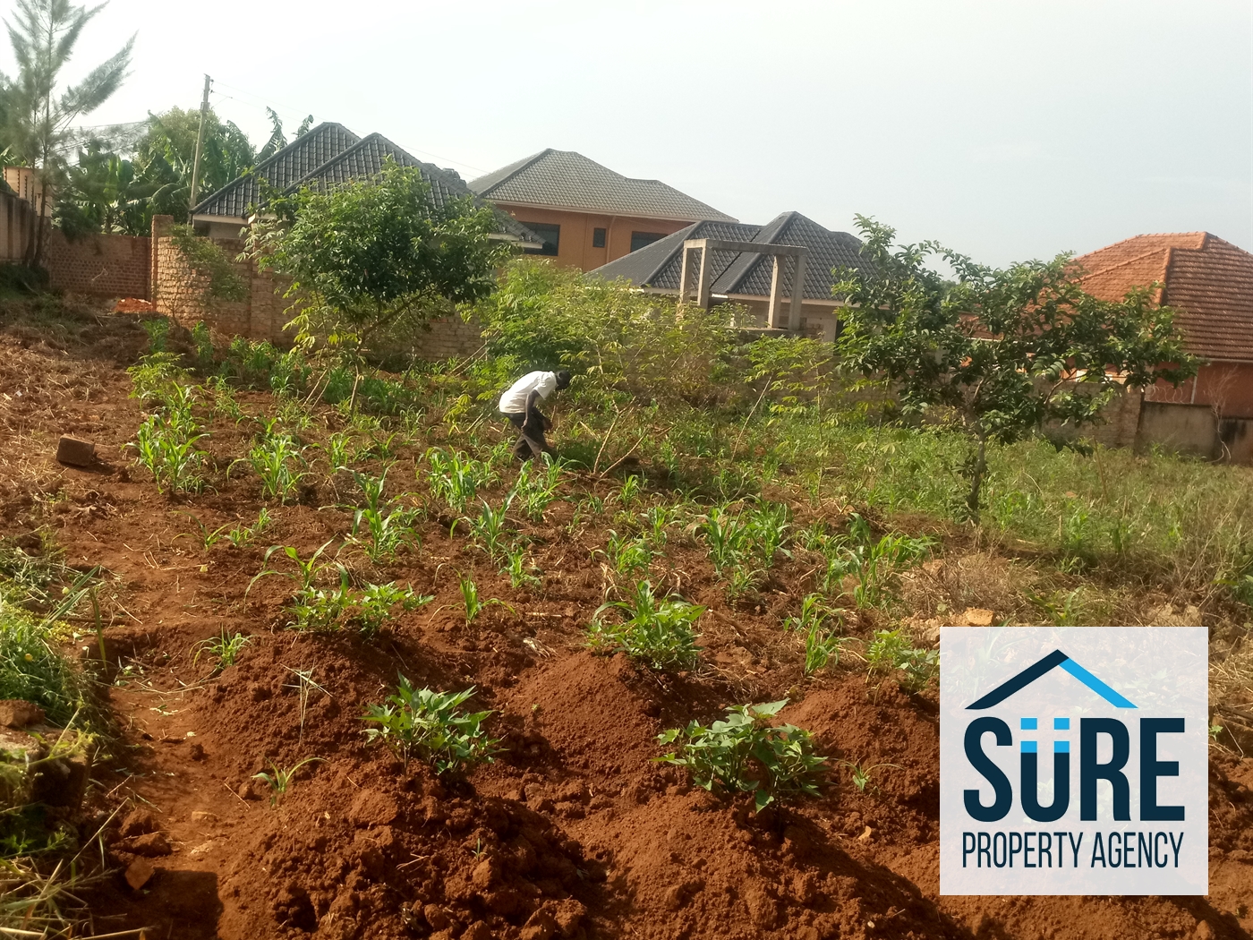 Residential Land for sale in Najjera Wakiso