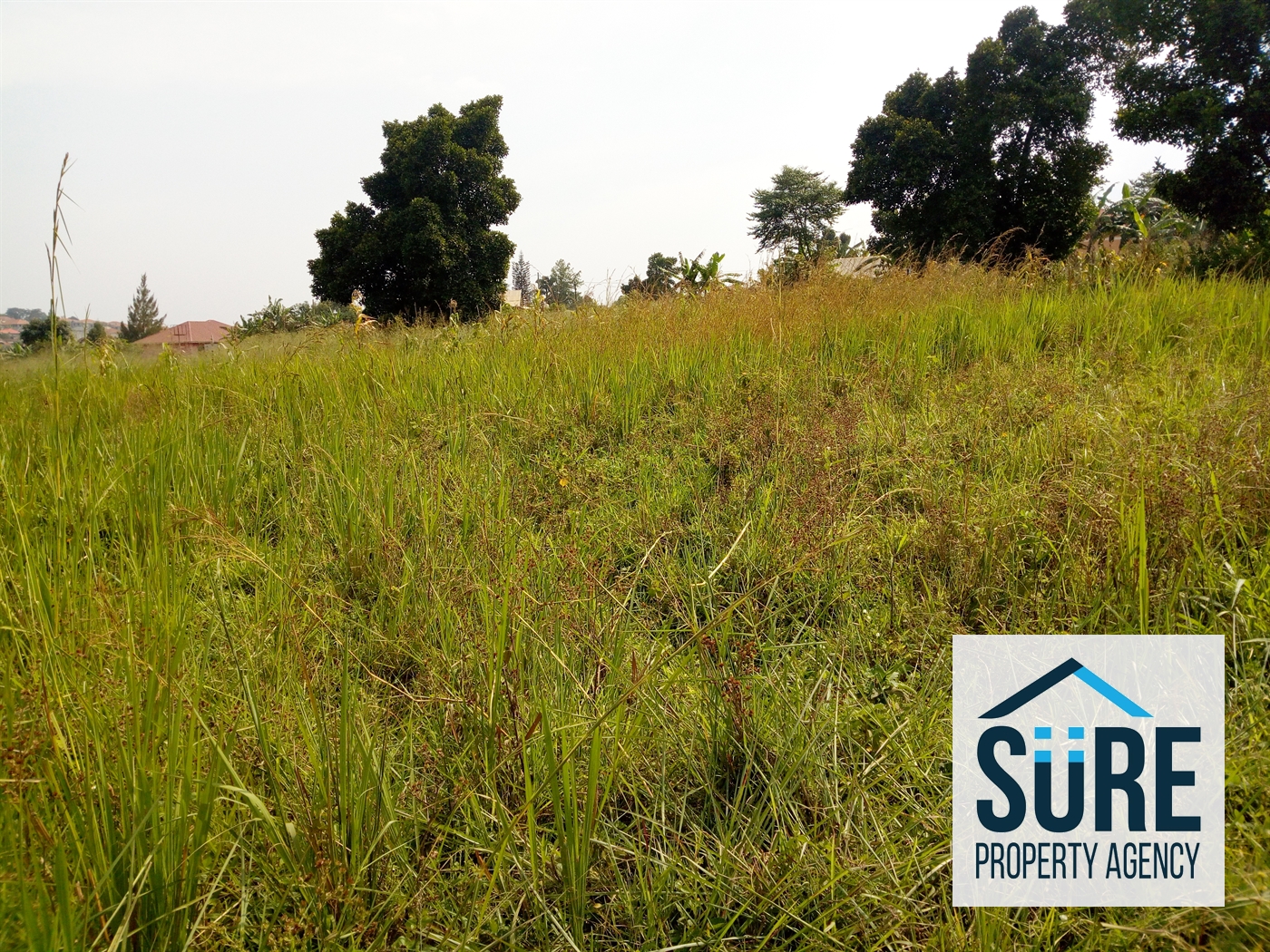 Residential Land for sale in Kimwanyi Wakiso