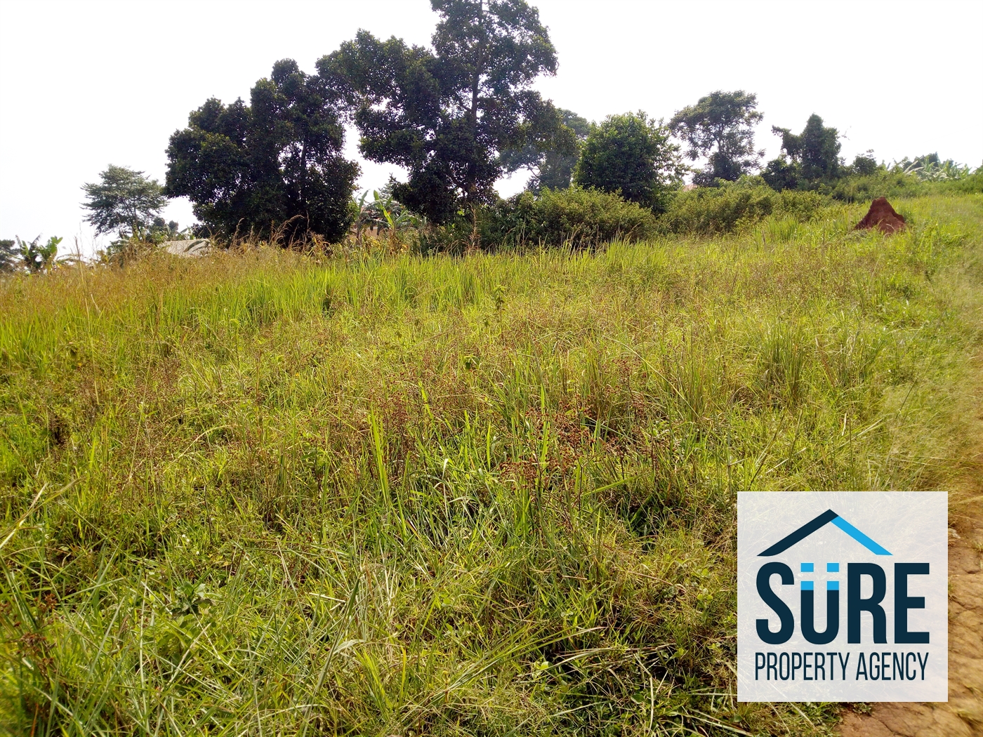 Residential Land for sale in Kimwanyi Wakiso