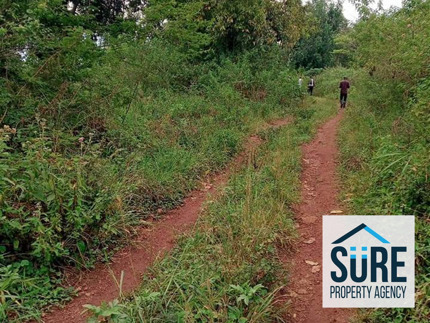 Residential Land for sale in Gayaza Wakiso