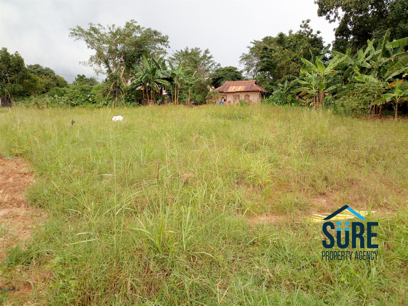 Residential Land for sale in Kitukutwe Wakiso