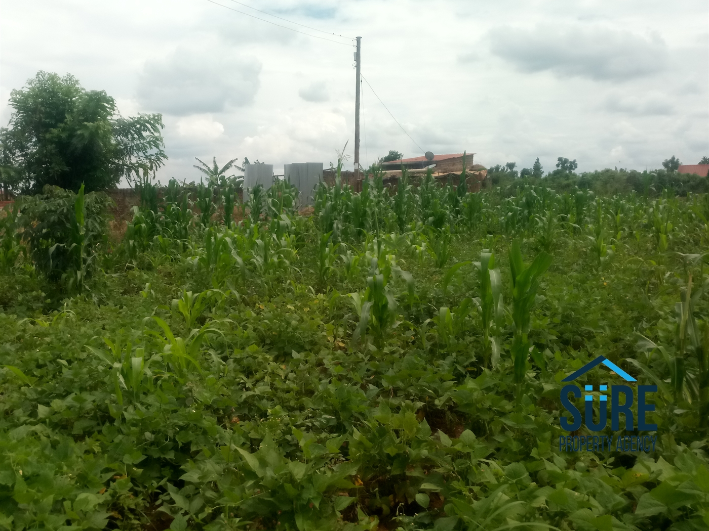 Residential Land for sale in Nakassajja Mukono