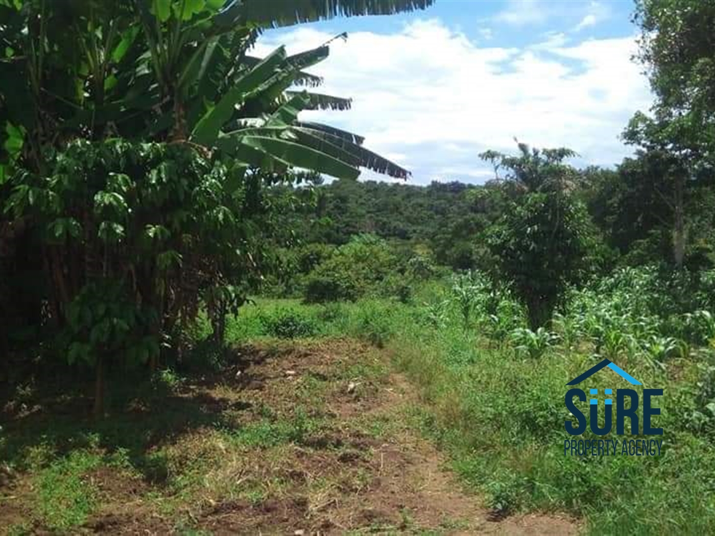 Multipurpose Land for sale in Katosi Mukono