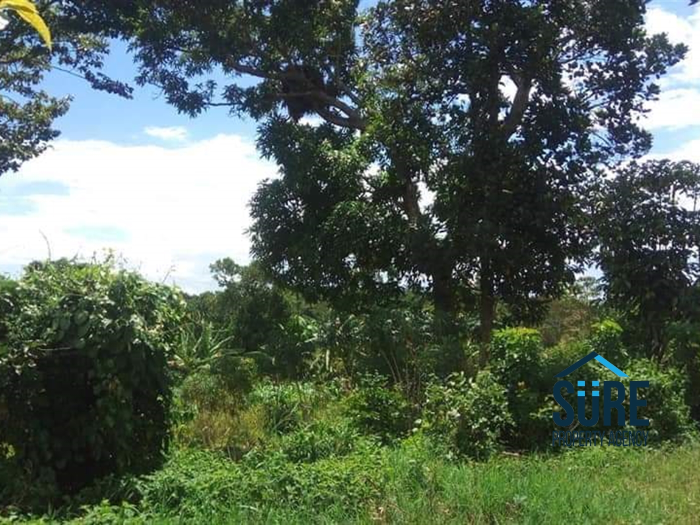 Multipurpose Land for sale in Katosi Mukono