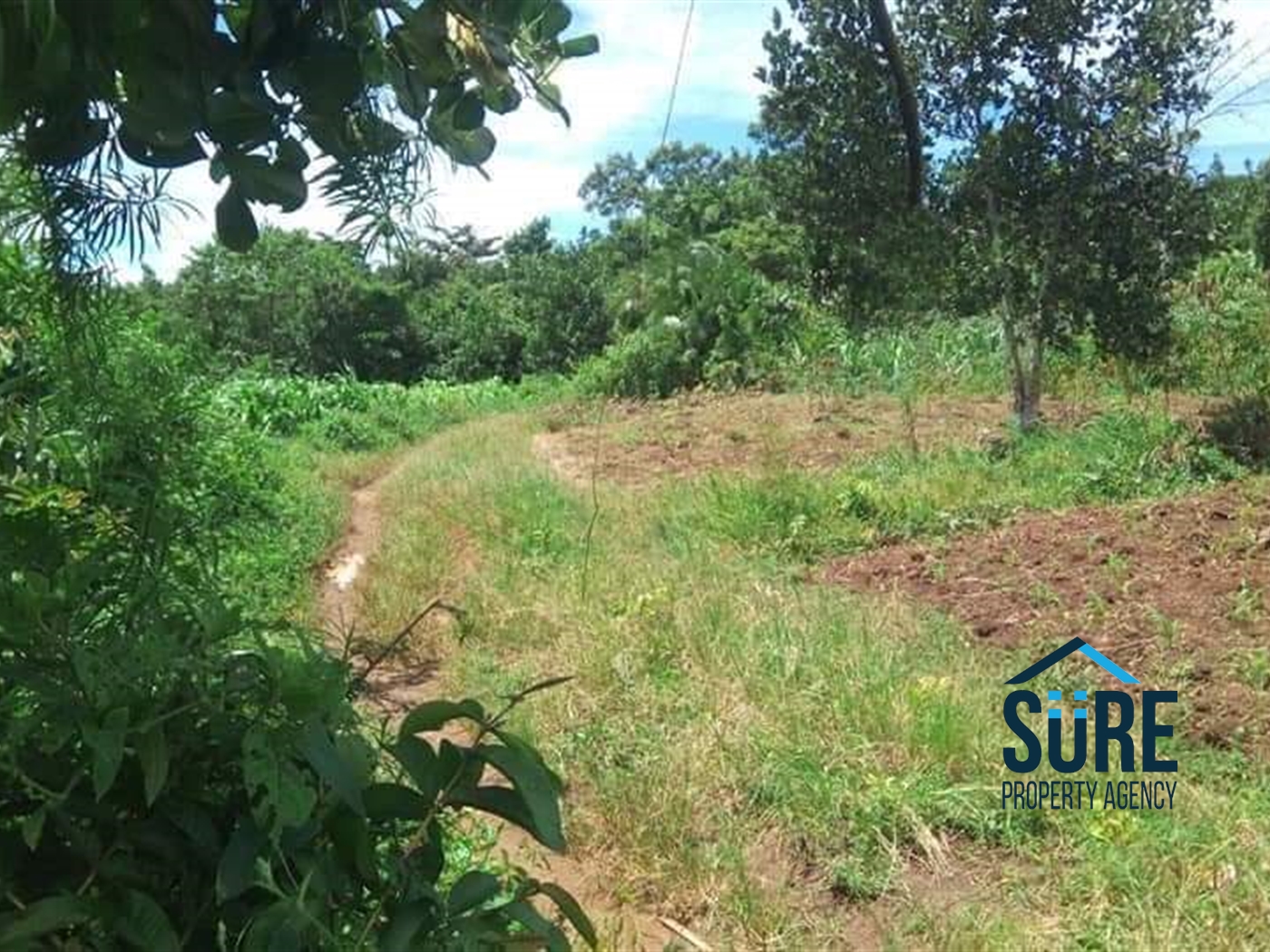 Multipurpose Land for sale in Katosi Mukono