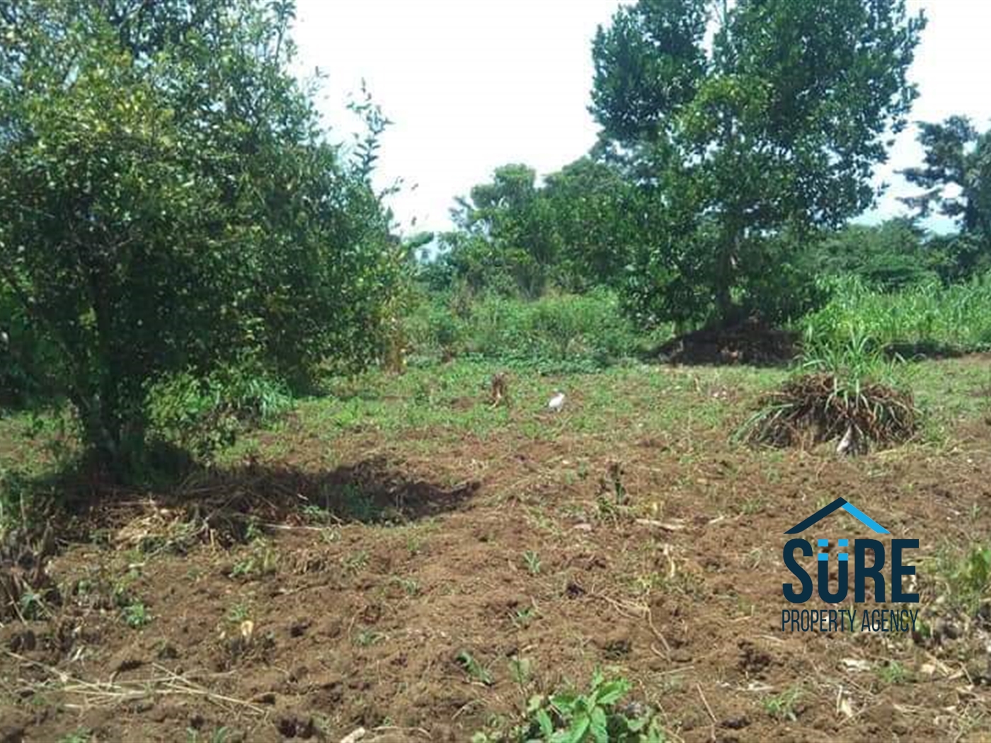 Multipurpose Land for sale in Katosi Mukono