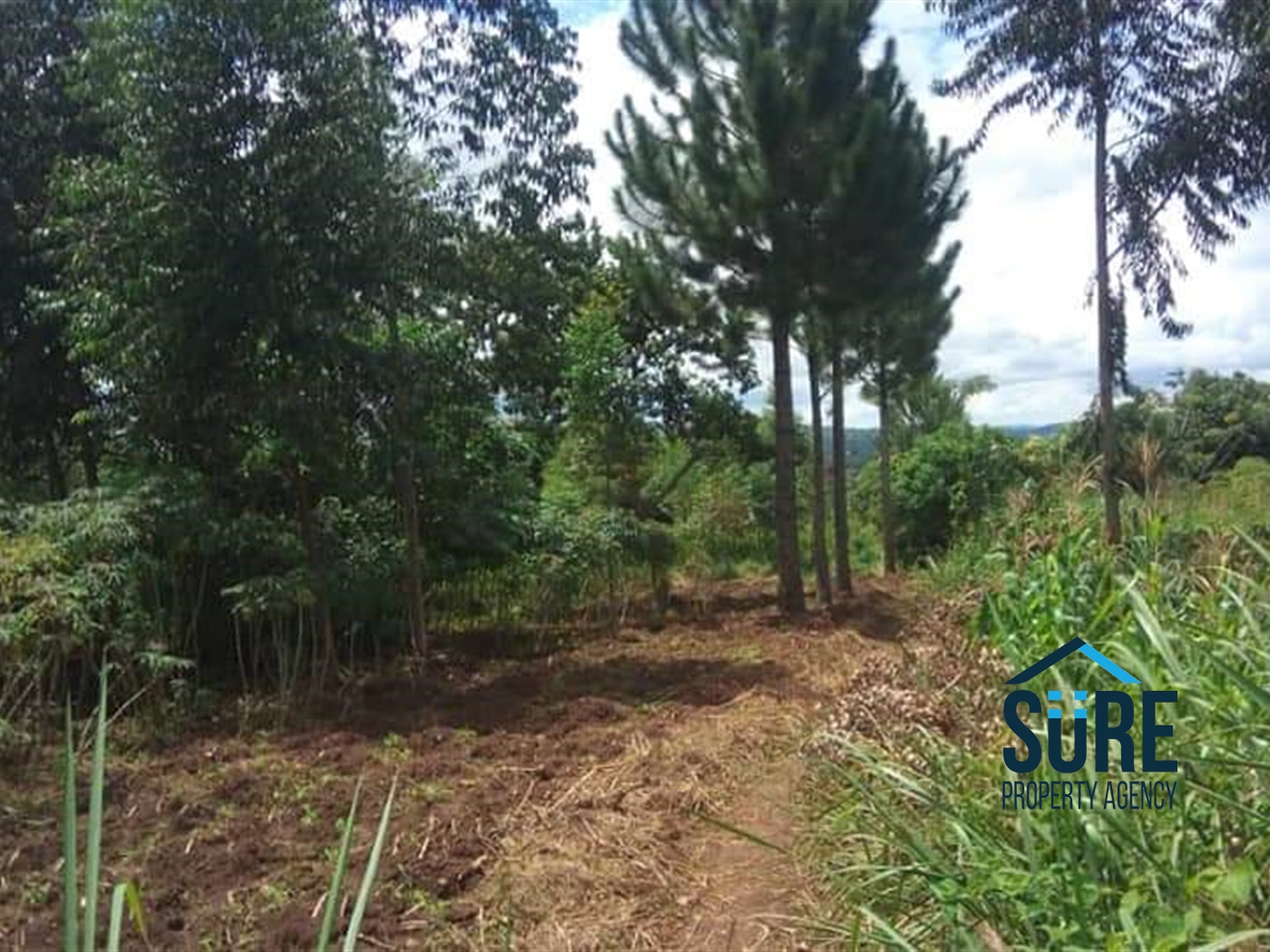 Multipurpose Land for sale in Katosi Mukono