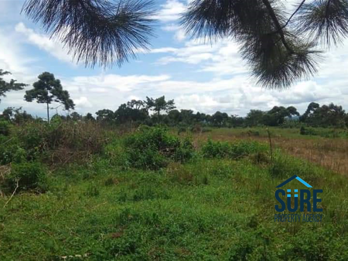 Multipurpose Land for sale in Katosi Mukono