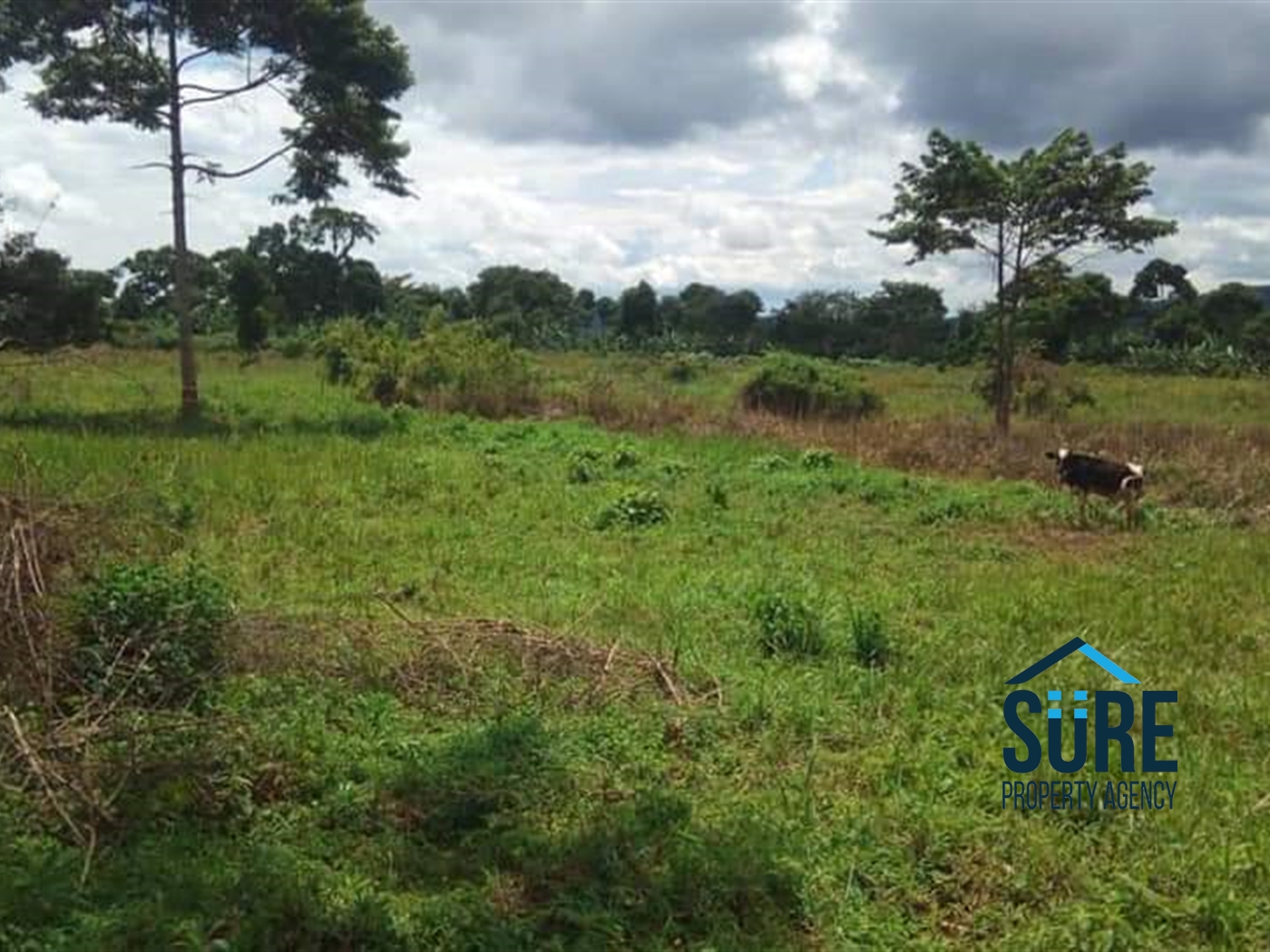 Multipurpose Land for sale in Katosi Mukono