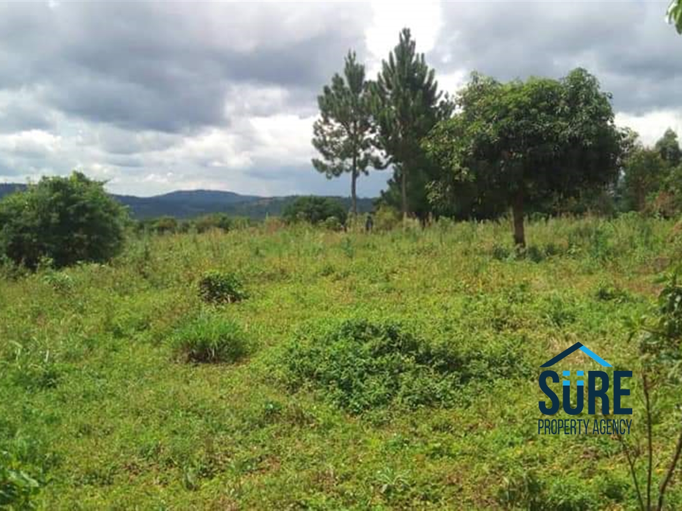 Multipurpose Land for sale in Katosi Mukono