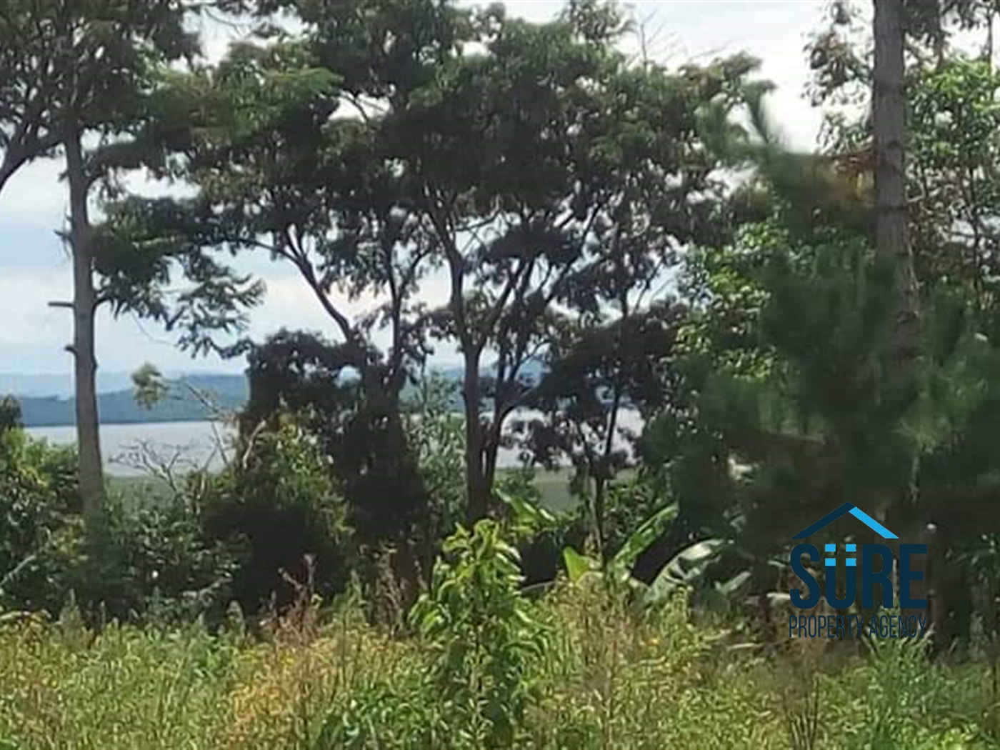 Multipurpose Land for sale in Katosi Mukono