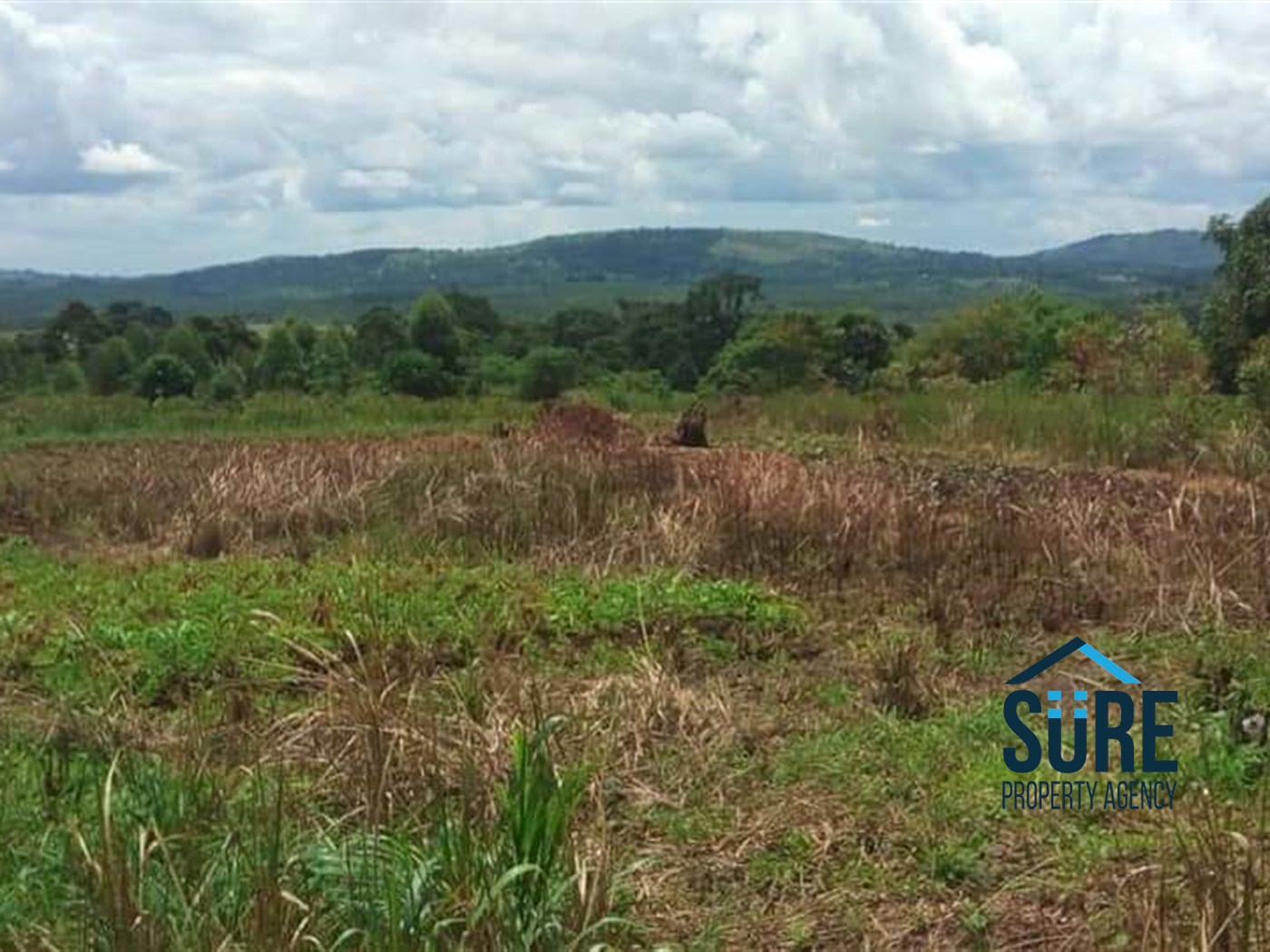 Multipurpose Land for sale in Katosi Mukono