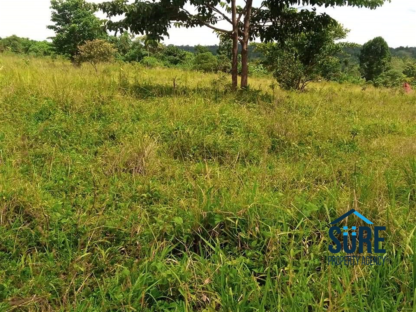 Residential Land for sale in Matugga Wakiso