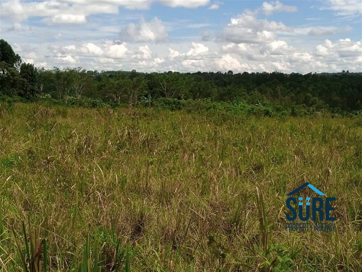 Residential Land for sale in Matugga Wakiso