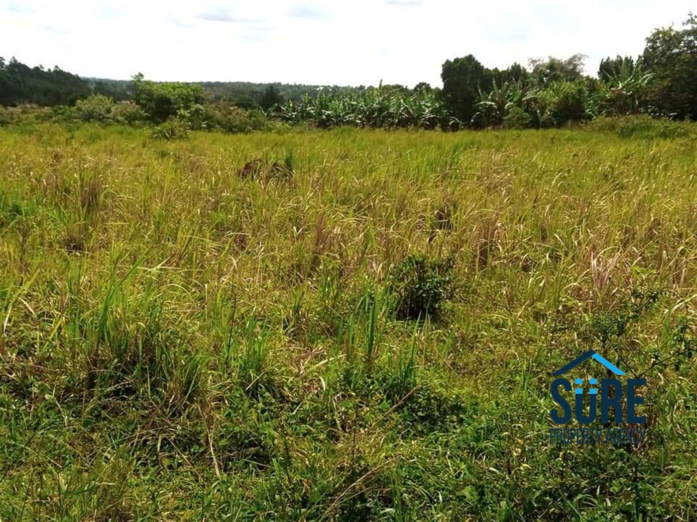 Residential Land for sale in Matugga Wakiso