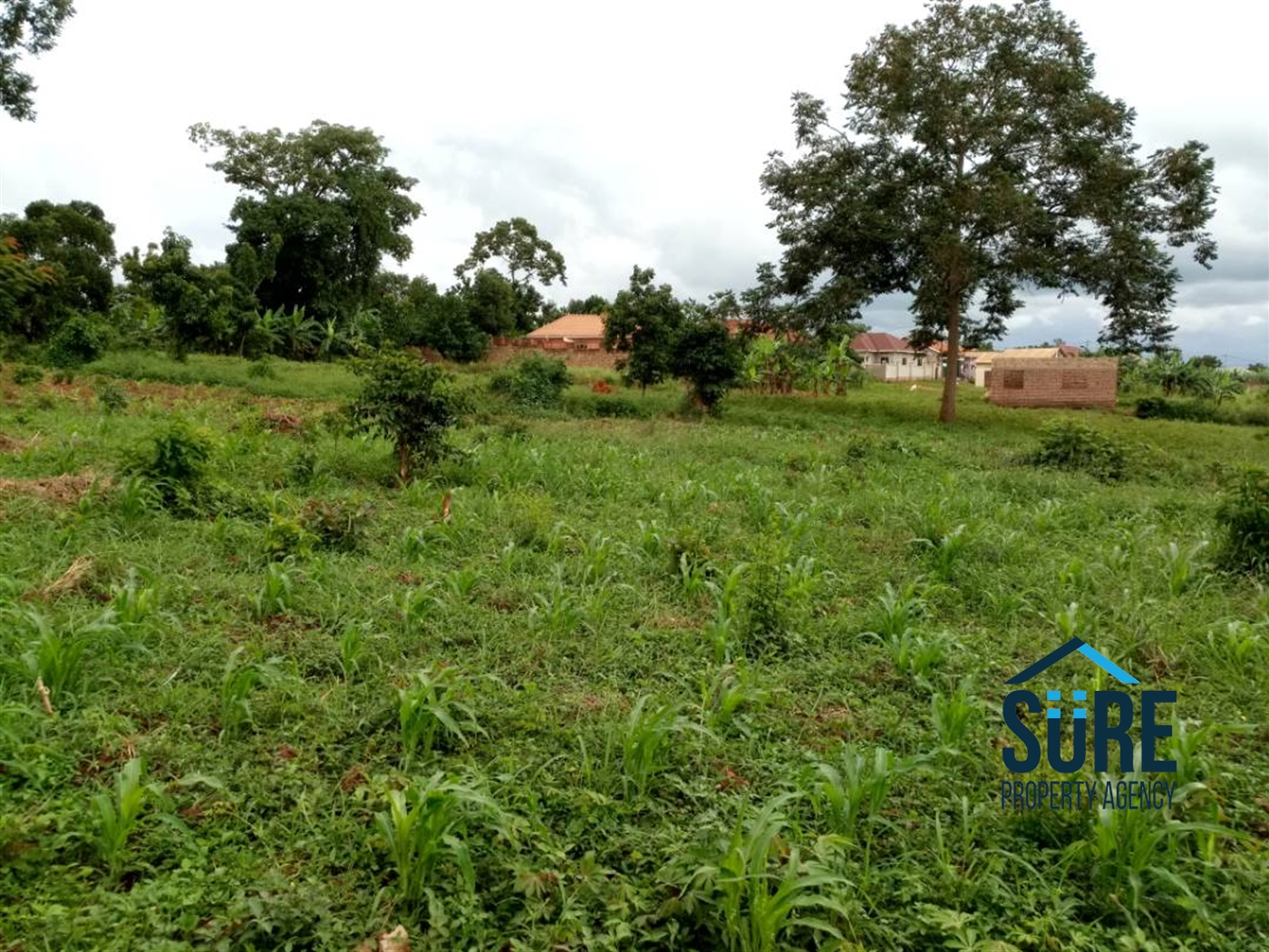 Multipurpose Land for sale in Gayaza Wakiso