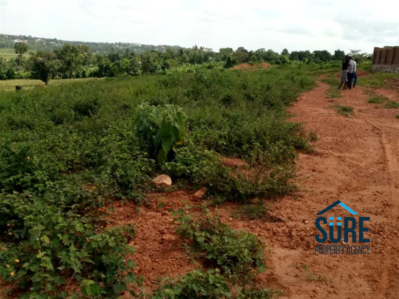 Residential Land for sale in Nsasa Wakiso