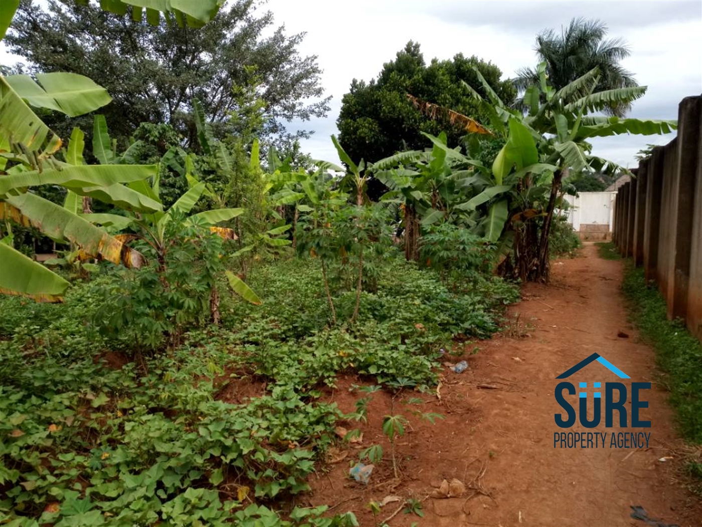 Residential Land for sale in Nakassajja Mukono