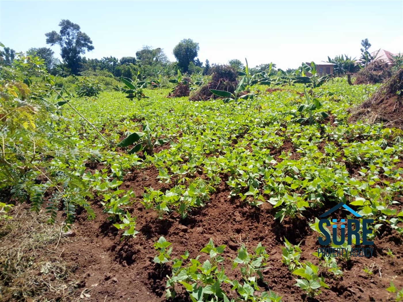 Multipurpose Land for sale in Busiika Luweero