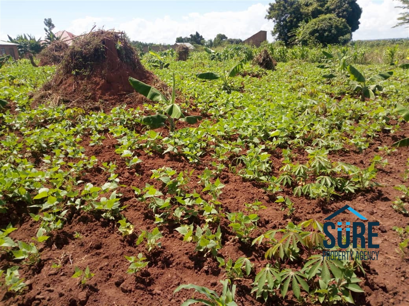 Multipurpose Land for sale in Busiika Luweero