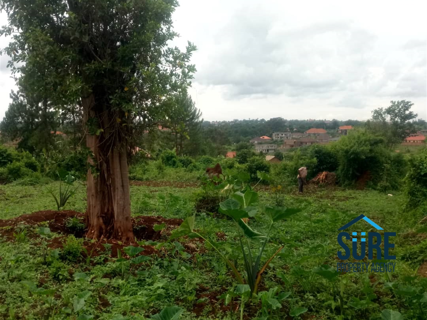 Residential Land for sale in Kira Wakiso