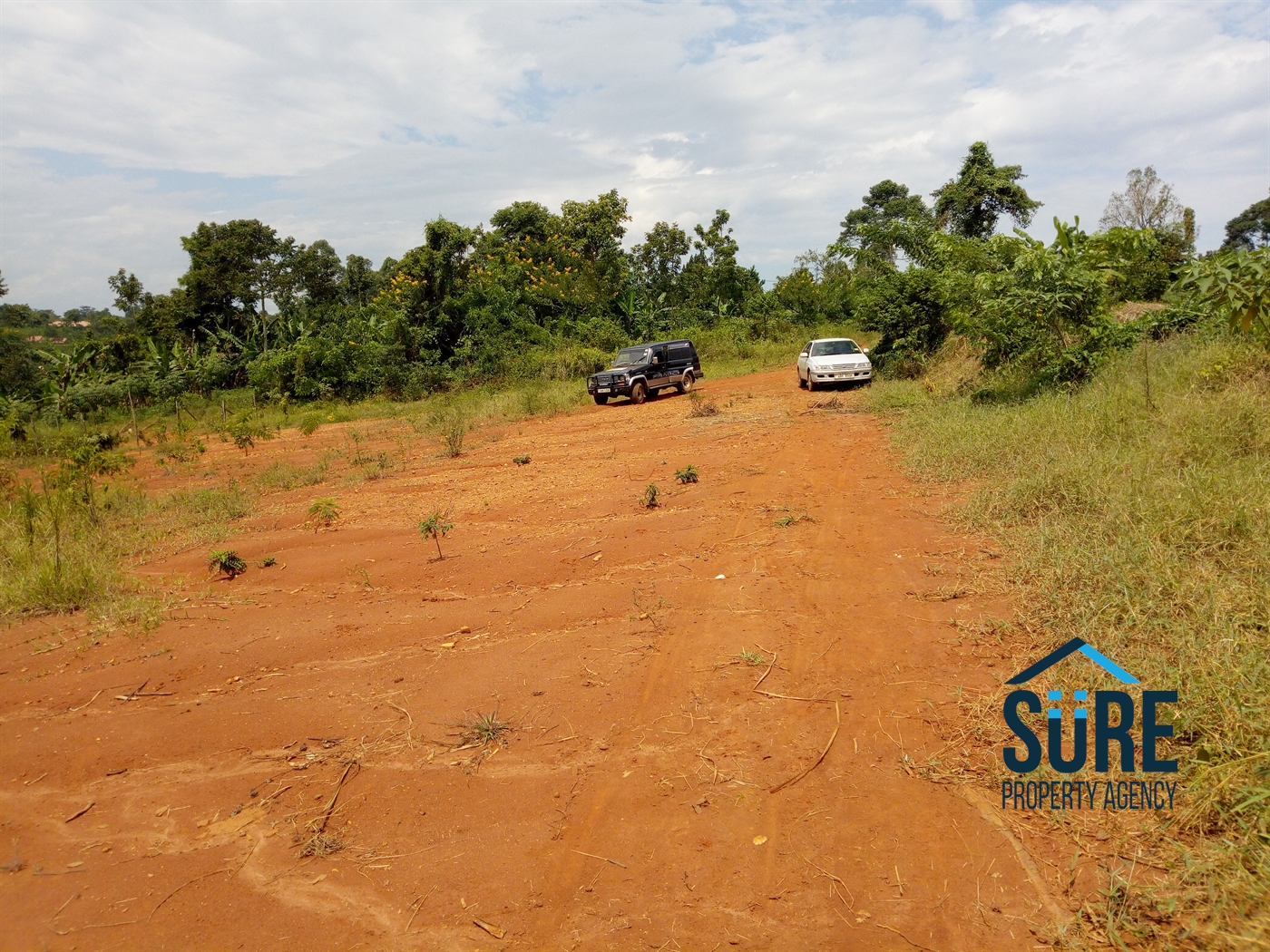 Residential Land for sale in Buddugala Mukono