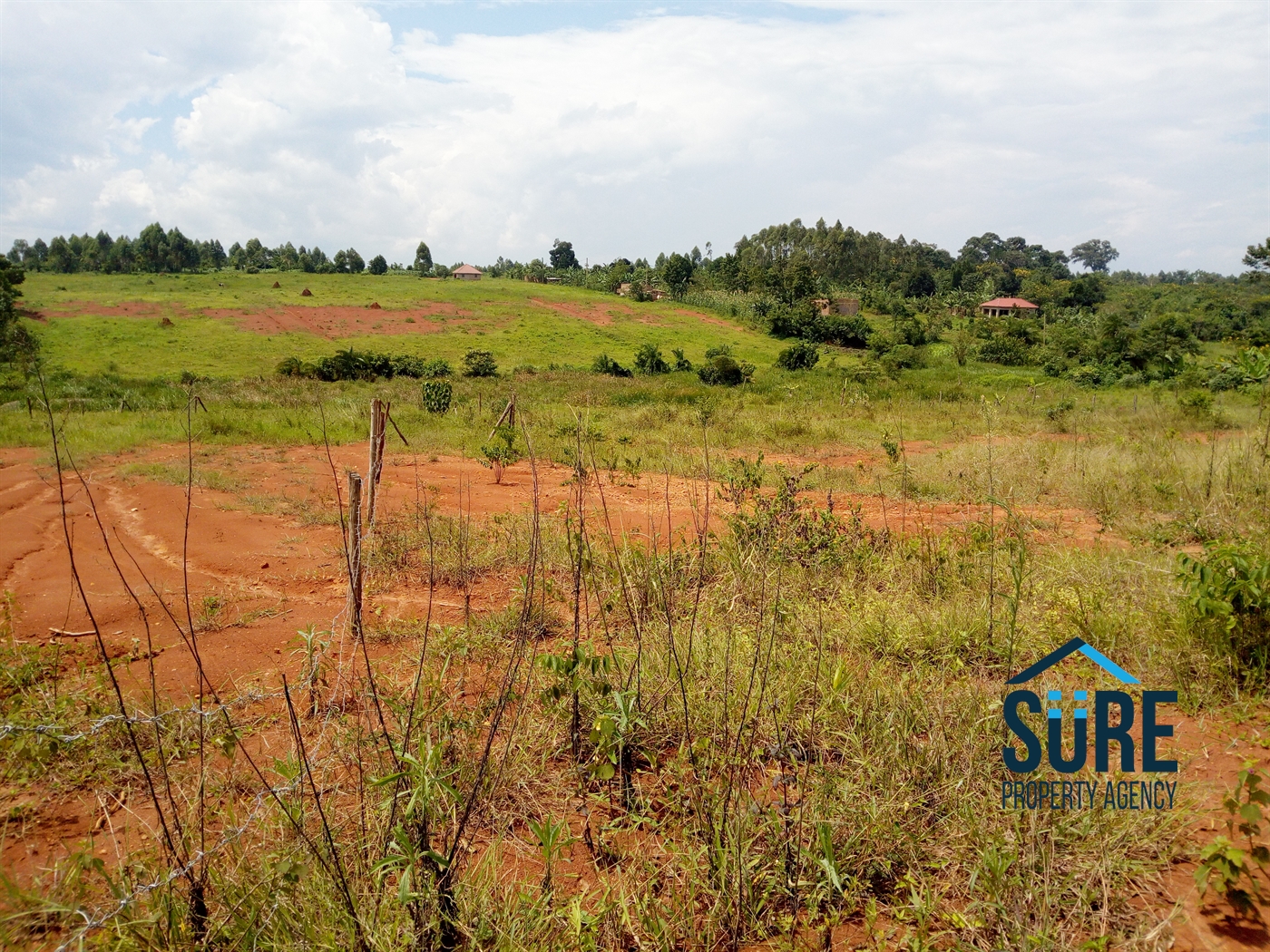 Multipurpose Land for sale in Buddugala Mukono
