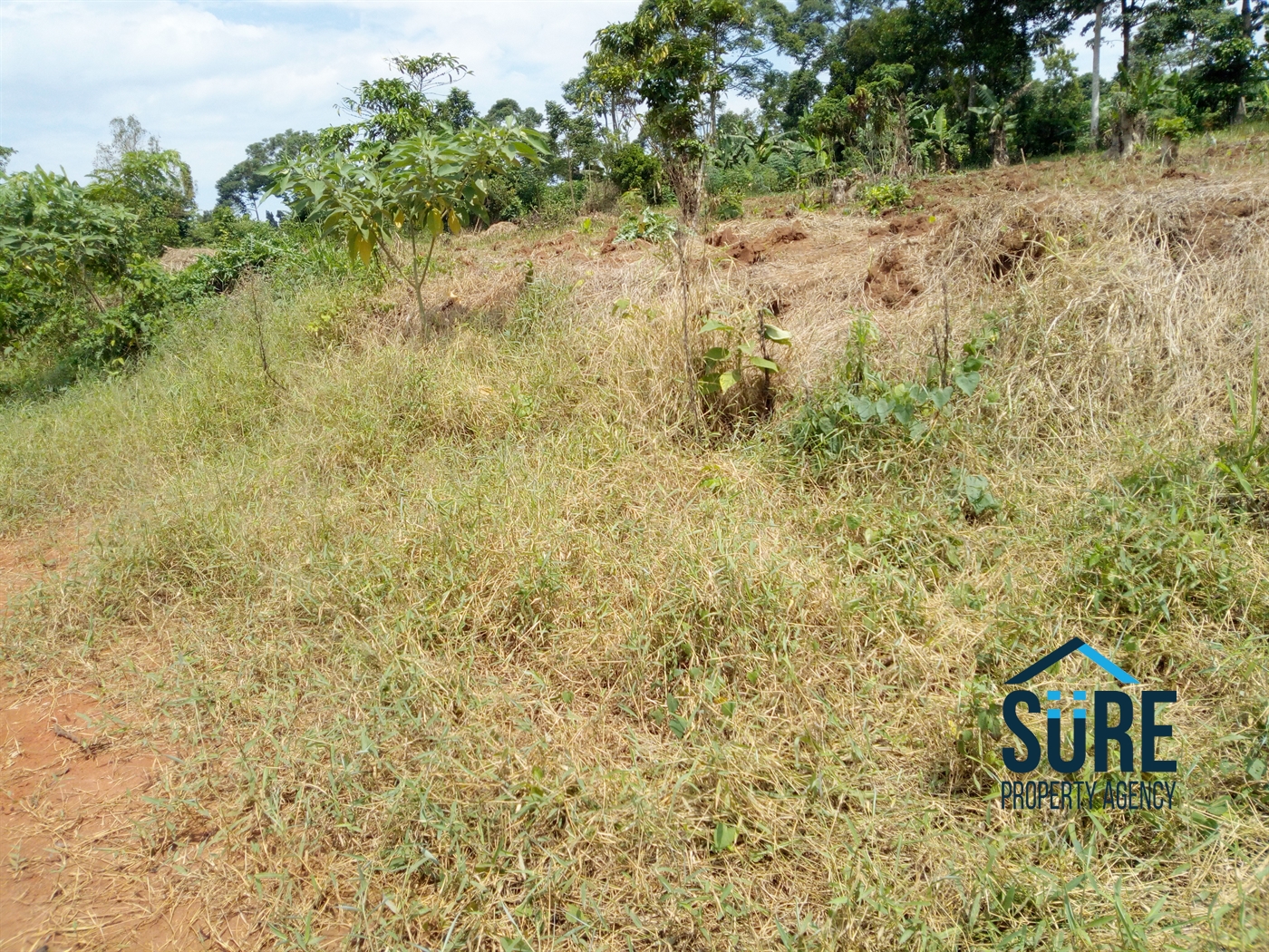 Residential Land for sale in Buddugala Mukono