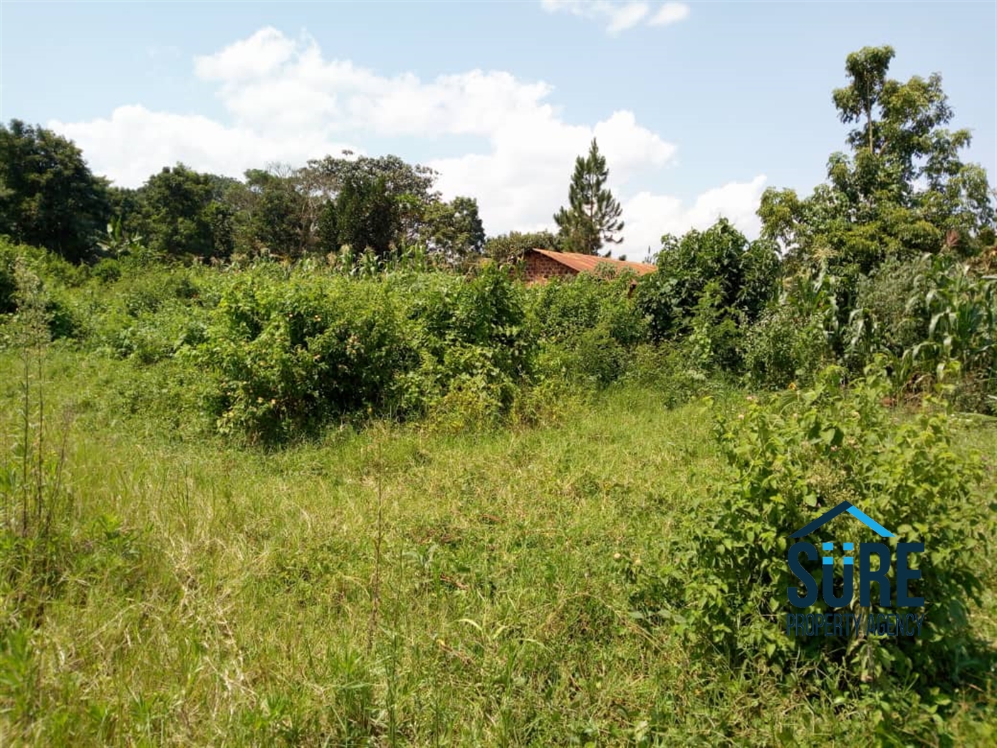 Residential Land for sale in Nakassajja Mukono