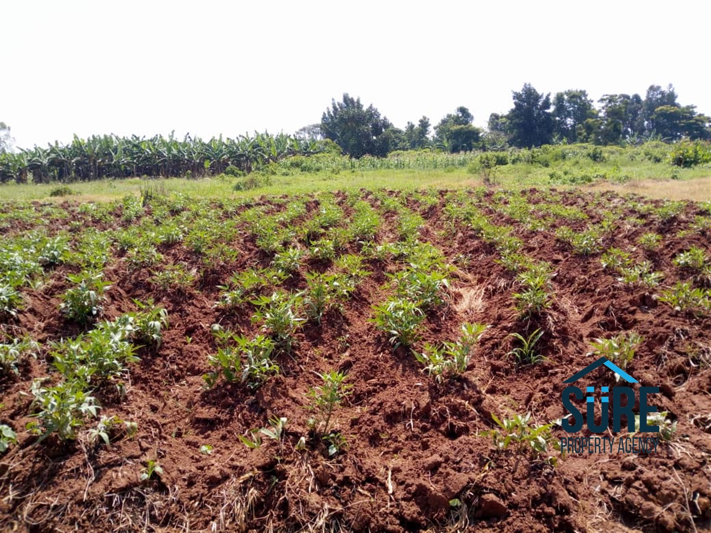 Residential Land for sale in Nakassajja Mukono