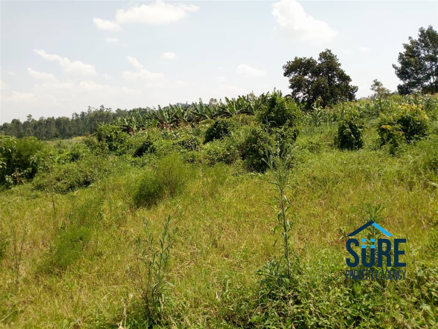 Residential Land for sale in Nakassajja Mukono