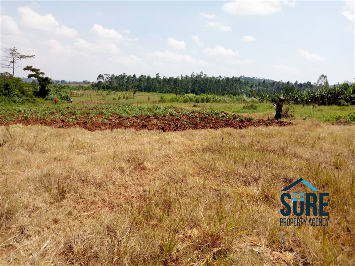 Residential Land for sale in Nakassajja Mukono