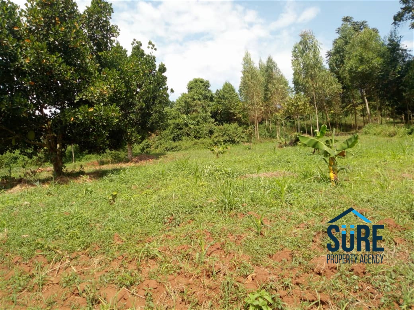 Residential Land for sale in Buwaate Wakiso