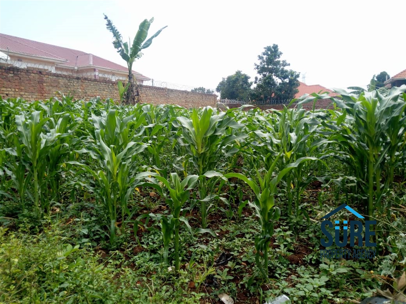 Residential Land for sale in Kira Wakiso