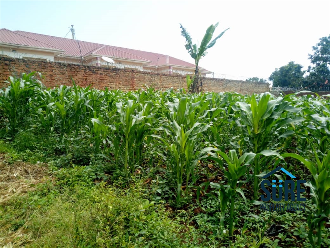 Residential Land for sale in Kira Wakiso